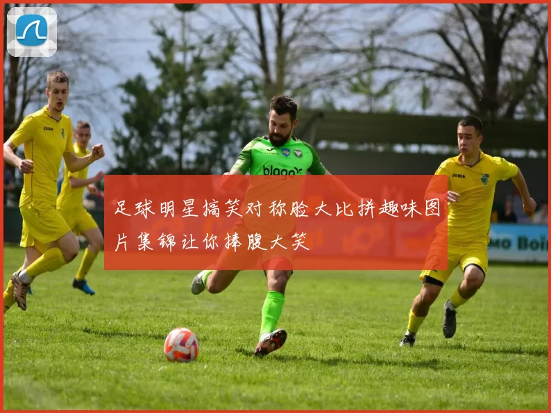 足球明星搞笑对称脸大比拼趣味图片集锦让你捧腹大笑